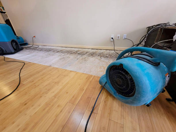 Professional Water Removal technician working in Pascoag, RI